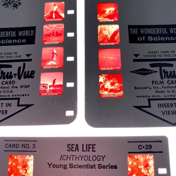 Tru-Vue Film Cards Set of 3 Stereoview Sea Life Ichthyology Young Scientist VTG - Picture 7 of 7